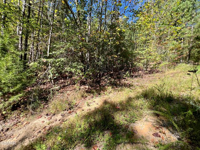 6 Acres Creek Hollow Way, Sevierville, TN 37876