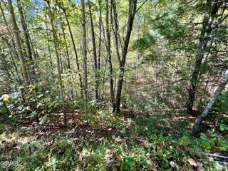 6 Acres Creek Hollow Way, Sevierville, TN 37876