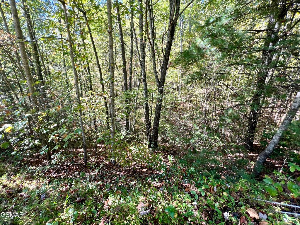 6 Acres Creek Hollow Way, Sevierville, TN 37876