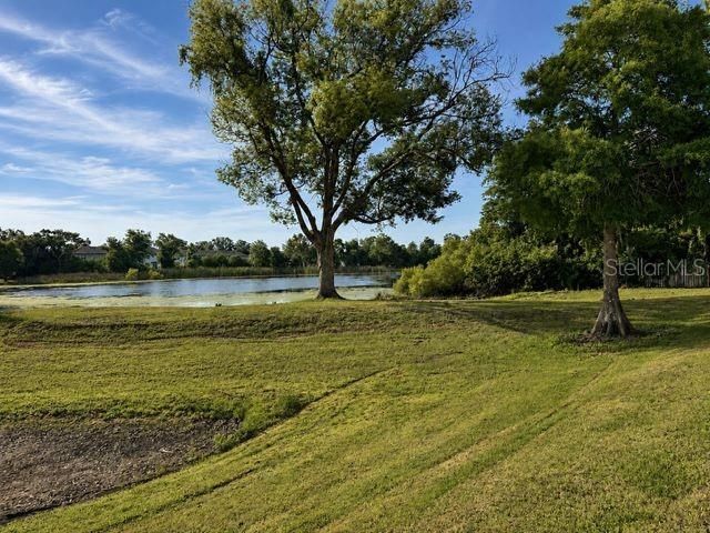 4401 DYLAN LOOP 164, Land O Lakes, FL 34639