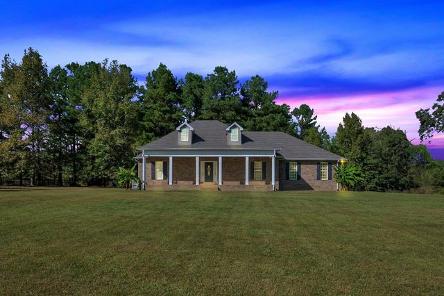 2044 Old Blacktop Road, Mc Ewen, TN 37101
