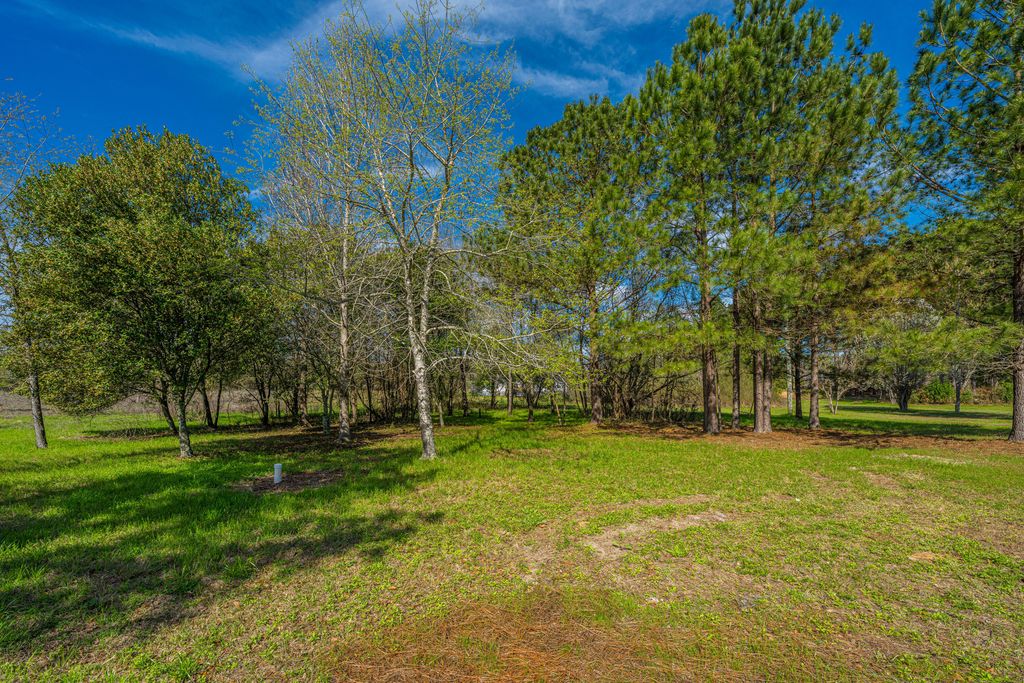 Image 56 of property listing at 268 Rodeo Drive, Eutawville, SC 29048