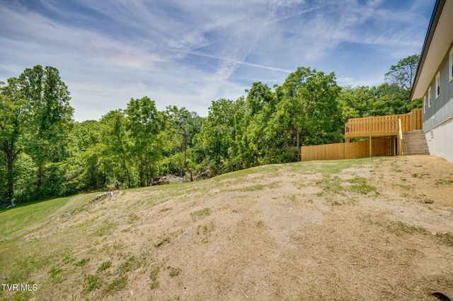 309 Morelock Street, Kingsport, TN 37660