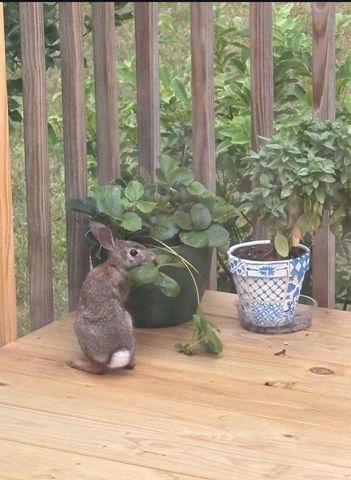 5541 Eric Street, Allendale Twp, MI 49401