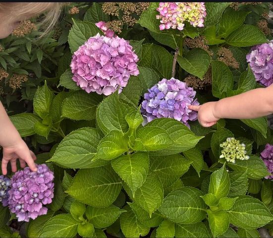 5541 Eric Street, Allendale Twp, MI 49401