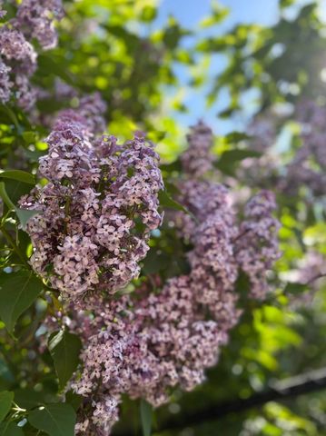 5541 Eric Street, Allendale Twp, MI 49401