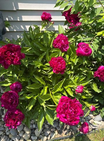 5541 Eric Street, Allendale Twp, MI 49401