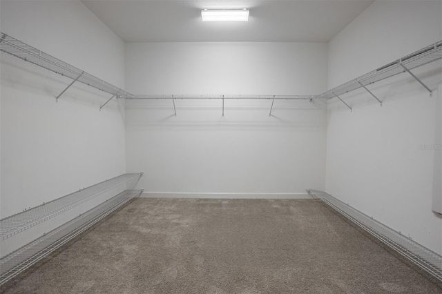 11715 NAVAJO SANDSTONE STREET, Riverview, FL 33579