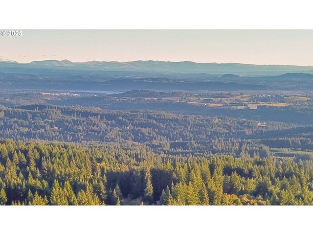 29104 Ne Hancock Rd, Camas, WA 98607