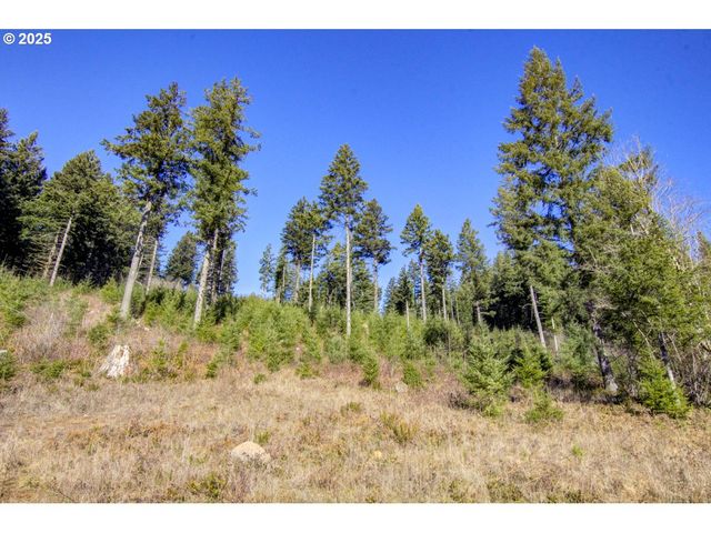 29104 Ne Hancock Rd, Camas, WA 98607