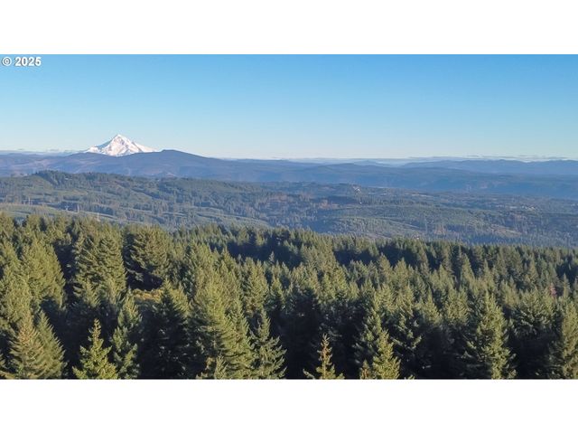 29104 Ne Hancock Rd, Camas, WA 98607