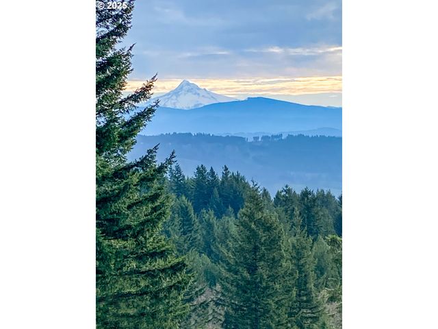 29104 Ne Hancock Rd, Camas, WA 98607