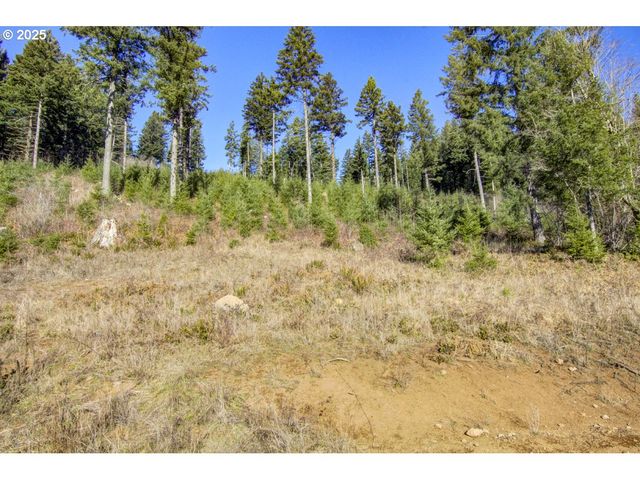 29104 Ne Hancock Rd, Camas, WA 98607