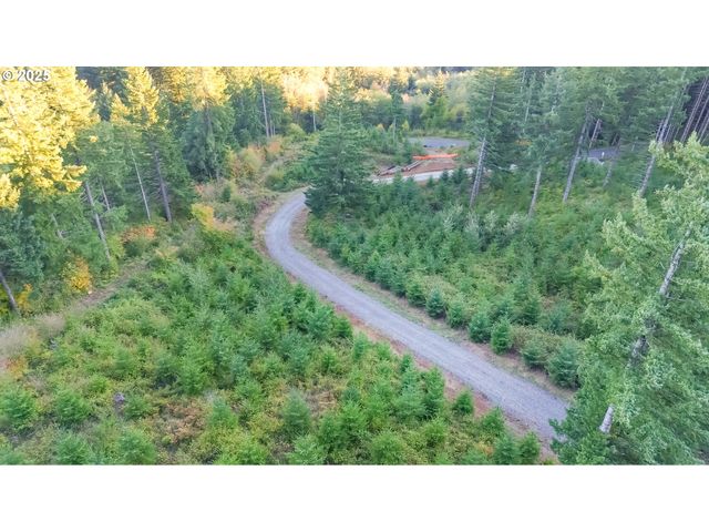 29104 Ne Hancock Rd, Camas, WA 98607