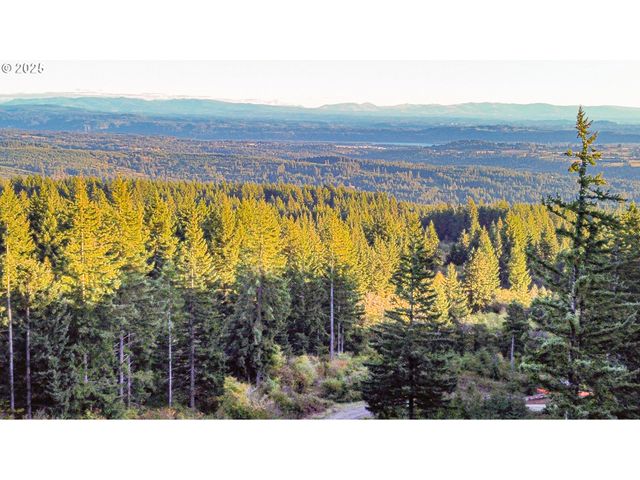 29104 Ne Hancock Rd, Camas, WA 98607