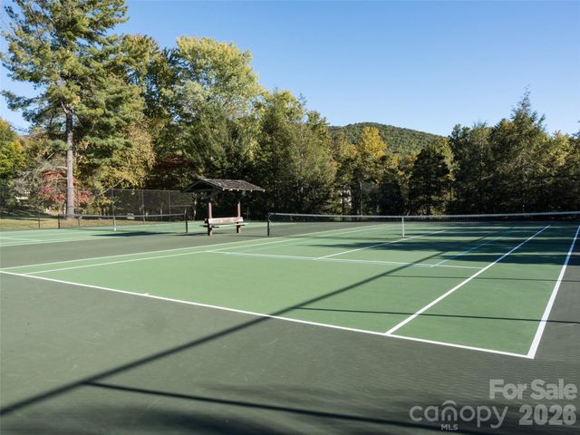 115 Ginger Quill Circle, Biltmore Lake, NC 28715