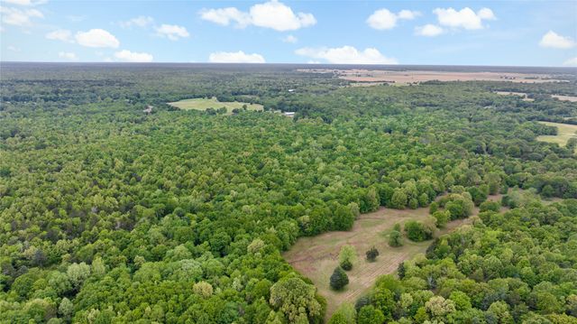10860 Farm Road 197, Arthur City, TX 75411