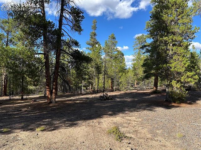 143 Fir Drive, Leadville, CO 80461