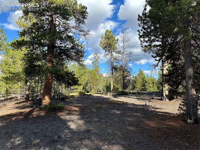 143 Fir Drive, Leadville, CO 80461