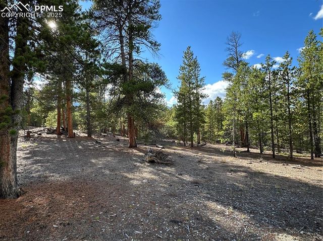 143 Fir Drive, Leadville, CO 80461