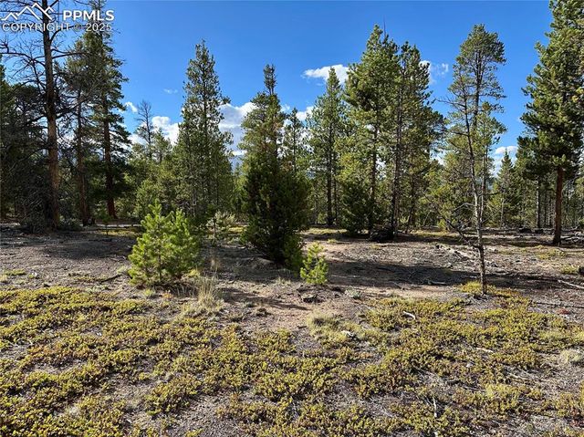 143 Fir Drive, Leadville, CO 80461