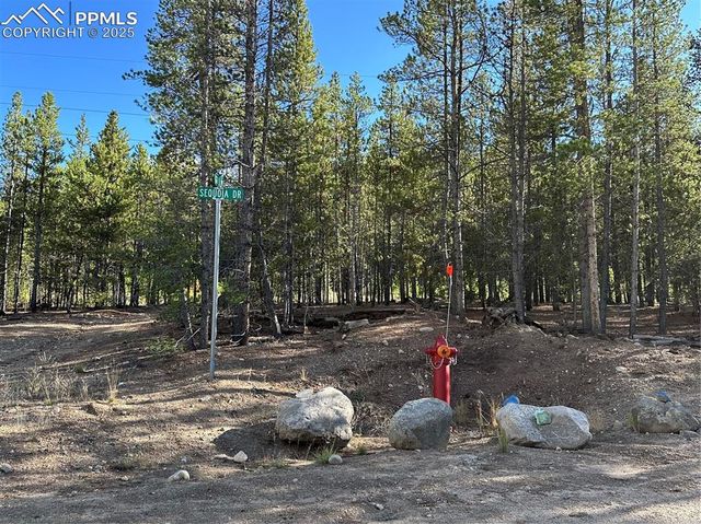 143 Fir Drive, Leadville, CO 80461