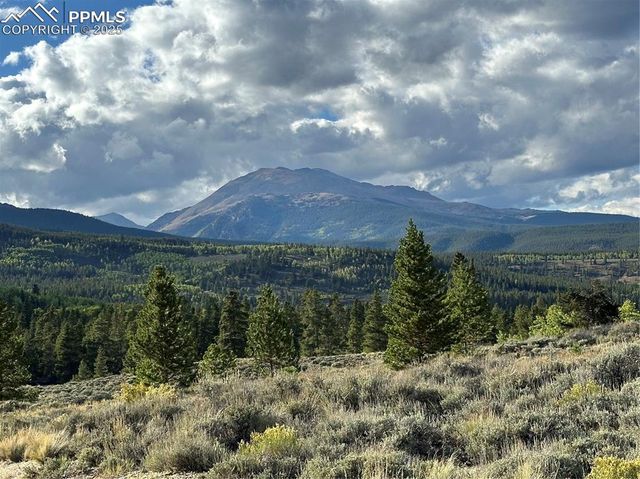 143 Fir Drive, Leadville, CO 80461