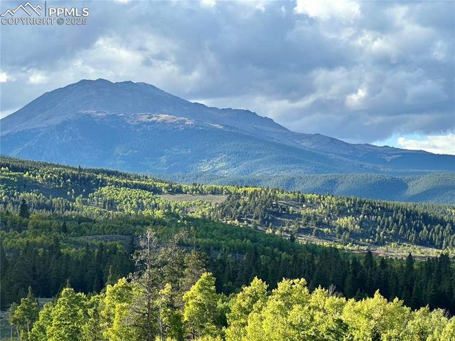 143 Fir Drive, Leadville, CO 80461