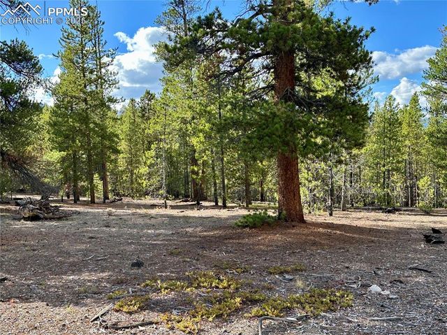 143 Fir Drive, Leadville, CO 80461