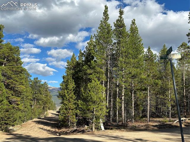 143 Fir Drive, Leadville, CO 80461