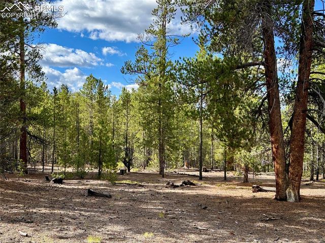 143 Fir Drive, Leadville, CO 80461