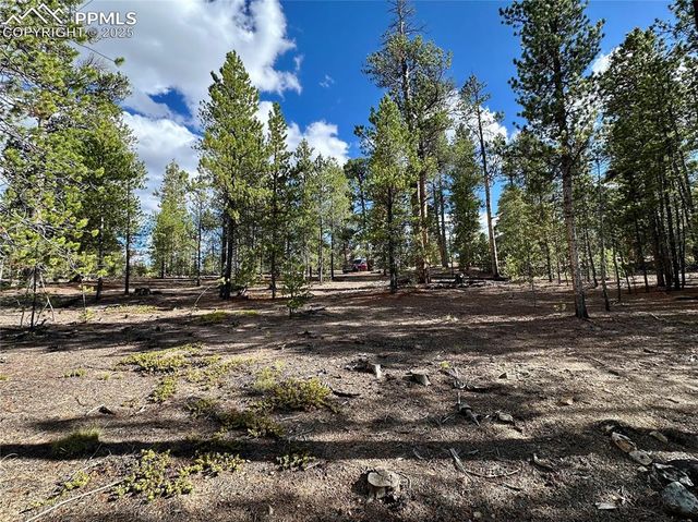 143 Fir Drive, Leadville, CO 80461