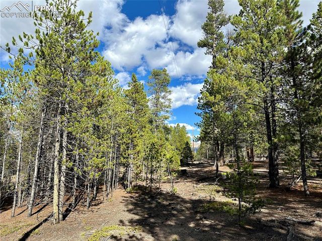 143 Fir Drive, Leadville, CO 80461