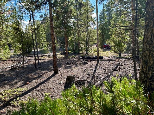 143 Fir Drive, Leadville, CO 80461