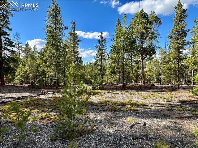 143 Fir Drive, Leadville, CO 80461