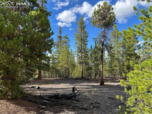 143 Fir Drive, Leadville, CO 80461