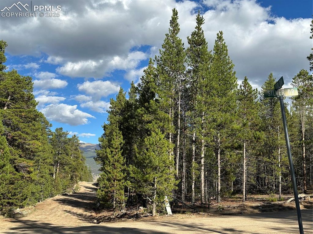 143 Fir Drive, Leadville, CO 80461 — photo 3