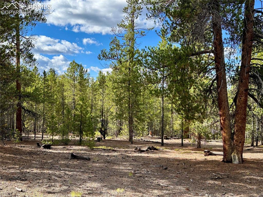 143 Fir Drive, Leadville, CO 80461 — photo 4