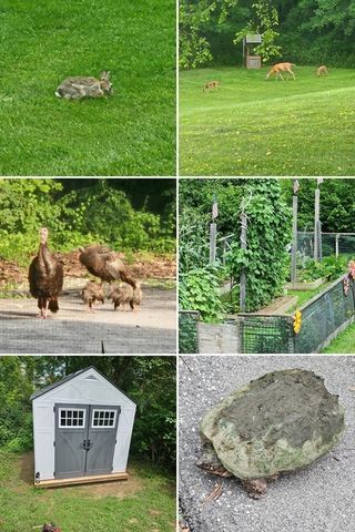 998 Guelphwood Road, Southbridge, MA 01550