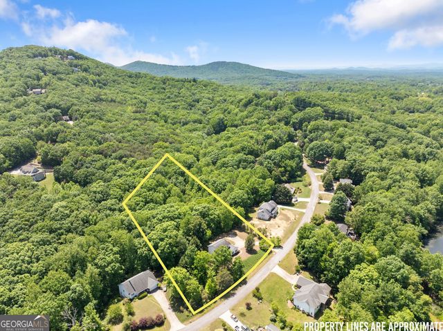 428 Pointe Willow Drive, Cleveland, GA 30528
