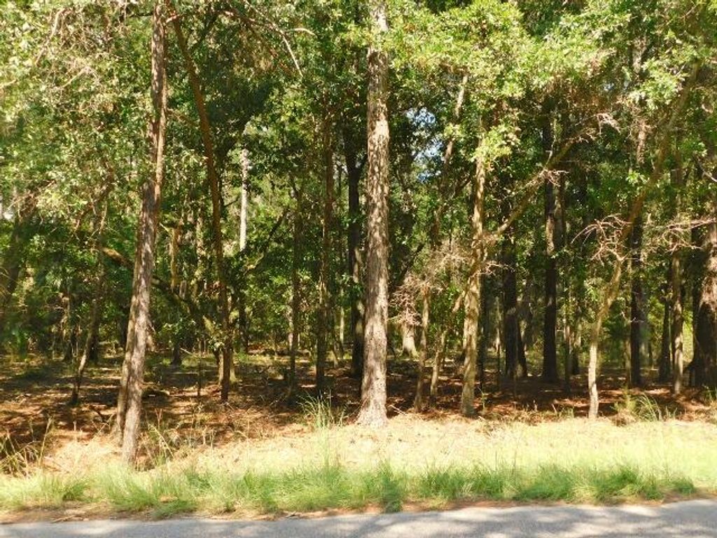 Image 2 of property listing at 8662 Palmetto Road, Edisto Island, SC 29438