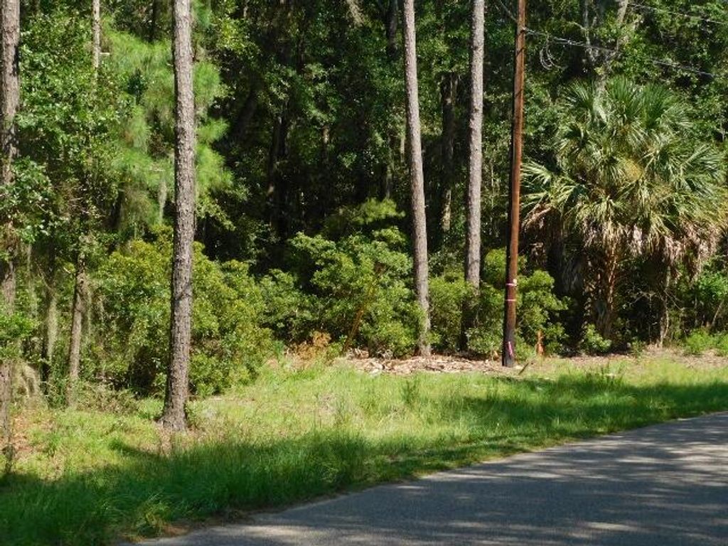 Image 3 of property listing at 8662 Palmetto Road, Edisto Island, SC 29438