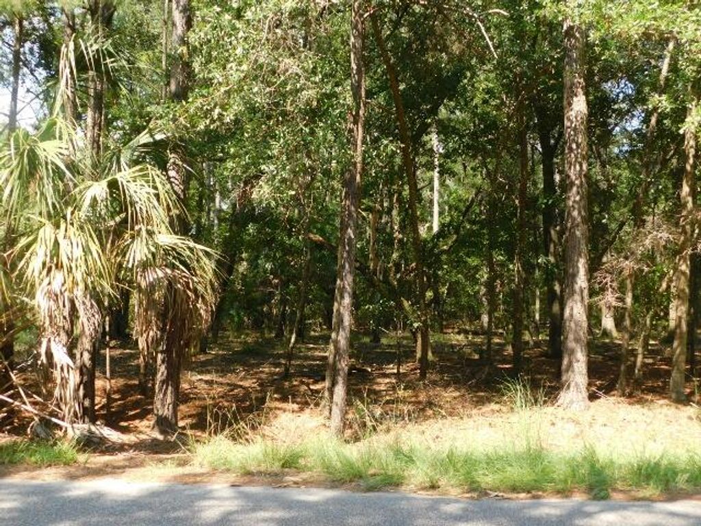 Image 4 of property listing at 8662 Palmetto Road, Edisto Island, SC 29438
