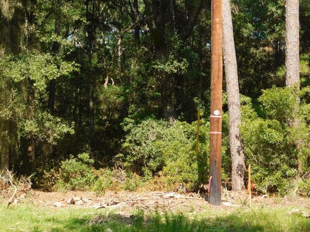 Image 6 of property listing at 8662 Palmetto Road, Edisto Island, SC 29438