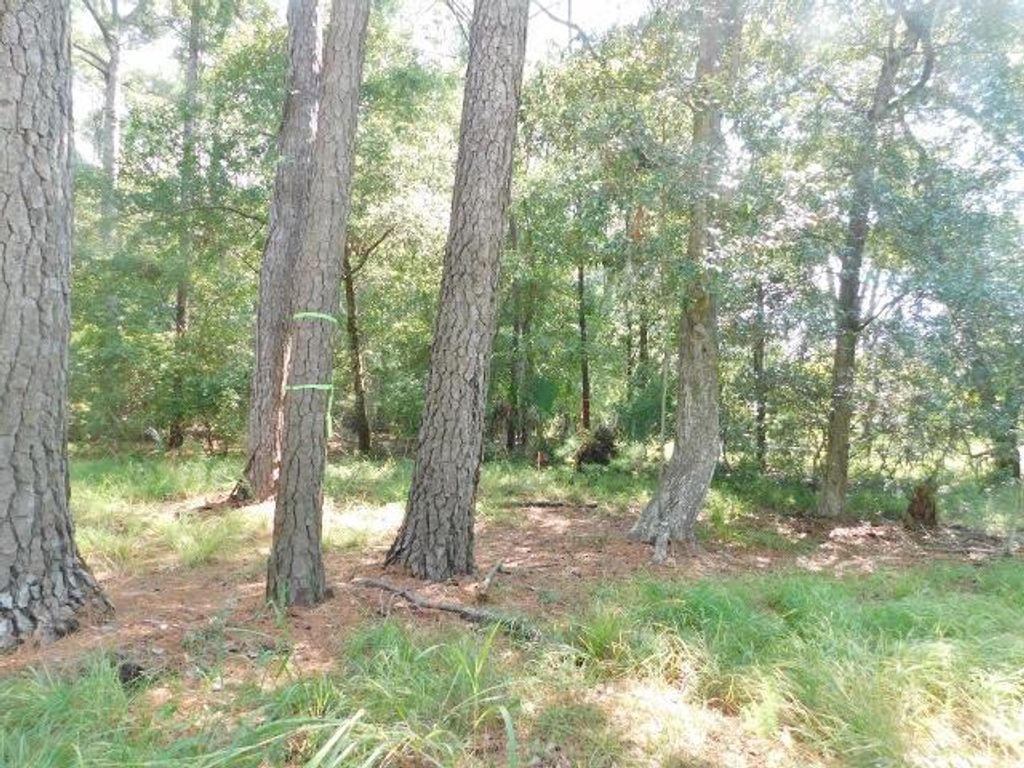 Image 7 of property listing at 8662 Palmetto Road, Edisto Island, SC 29438