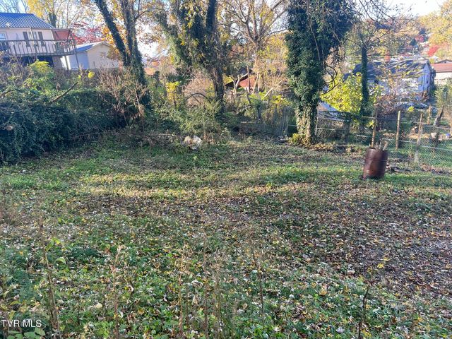 306 Delaware Street, Kingsport, TN 37665