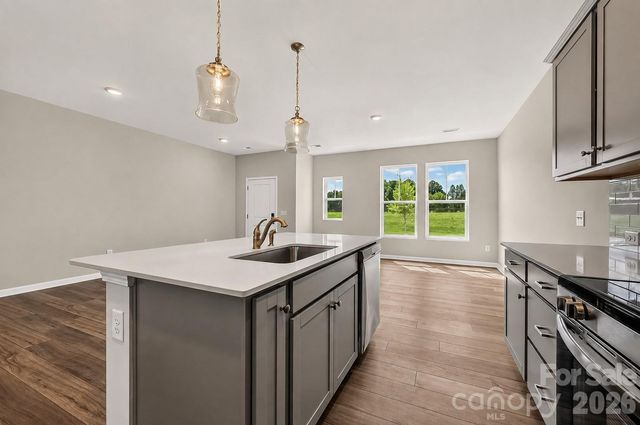 6539 Fire Lily Lane, Charlotte, NC 28216