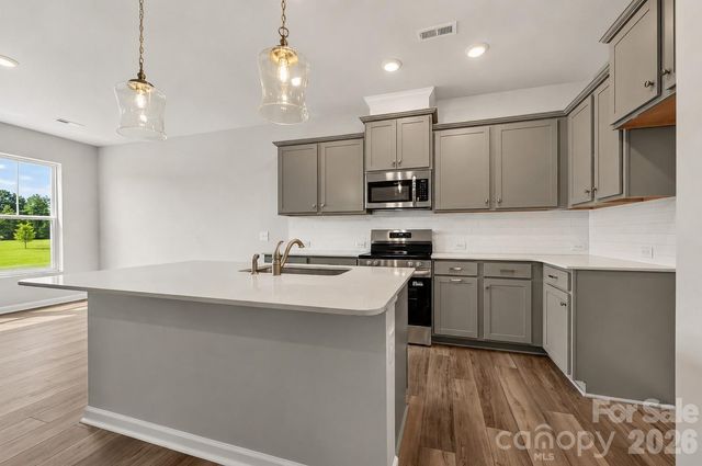 6539 Fire Lily Lane, Charlotte, NC 28216
