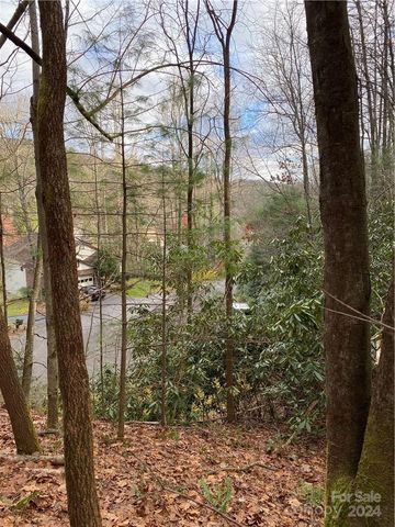 Lot 50 & 51 Wood Duck Court 50 & 51, Brevard, NC 28712
