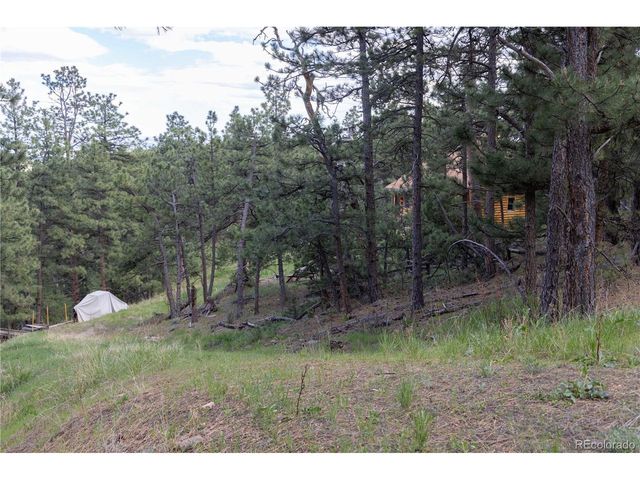 3600 Blue Mountain Trl, Lyons, CO 80540
